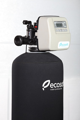 Фільтр для видалення хлору Ecosoft FPA 1252CT  1