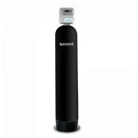 Фильтр для удаления сероводорода Ecosoft FPC 1665CT