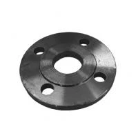 Фланец плоский BOSAJ Golden Luyang p 16 бар Ду 125 мм