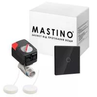 Система защиты от протечки воды Mastino TS2 1/2 Light черный с 1 краном и 2 датчиками
